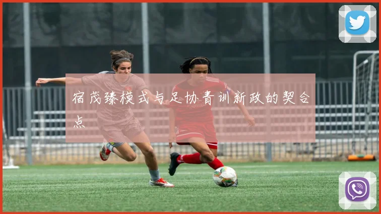宿茂臻模式与足协青训新政的契合点