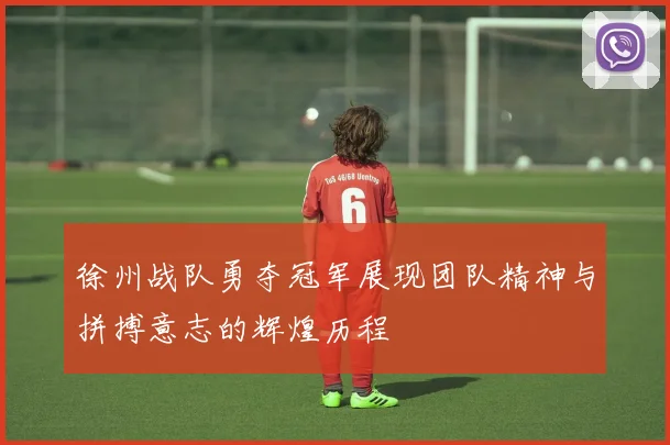徐州战队勇夺冠军展现团队精神与拼搏意志的辉煌历程