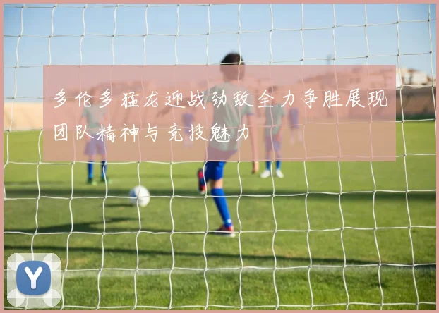 多伦多猛龙迎战劲敌全力争胜展现团队精神与竞技魅力