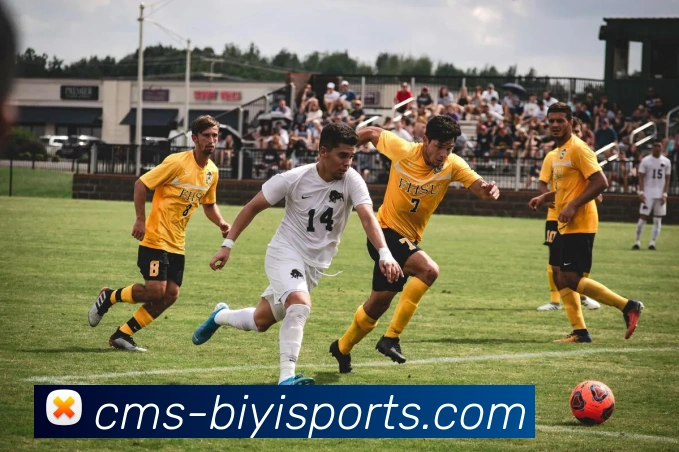 必一体育APP 封面图